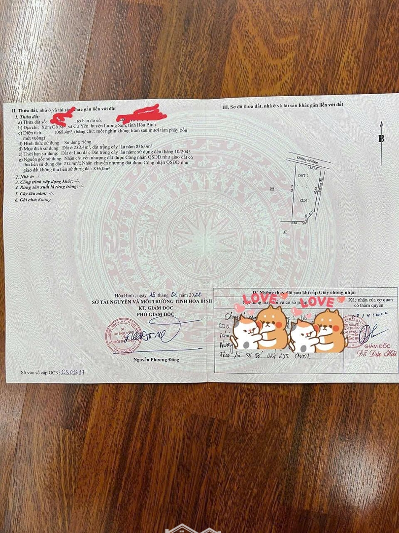 Chủ Cần Bán Gấp Lô Đất Đối Diện Với Khu Nghỉ Dưỡng La Saver Dầu Khí Hoà Bình