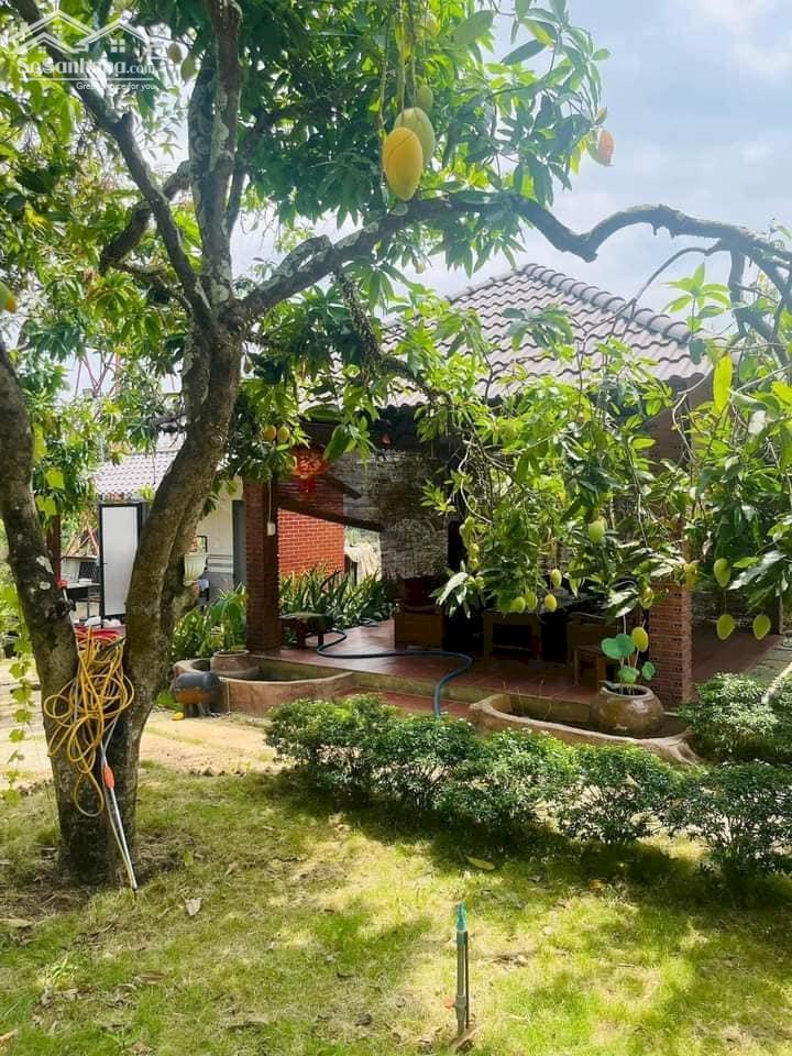 Bán gấp đất xây kho, xưởng nhà cho thuê ngang 40m đường nhựa Hương Lộ 2, Trảng Bàng