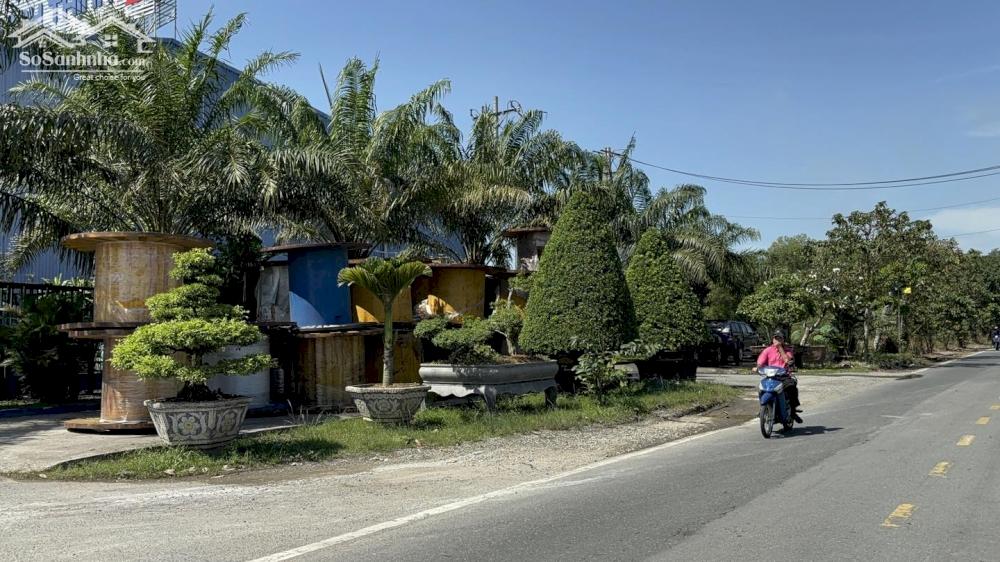 Bán gấp đất xây kho, xưởng nhà cho thuê ngang 40m đường nhựa Hương Lộ 2, Trảng Bàng