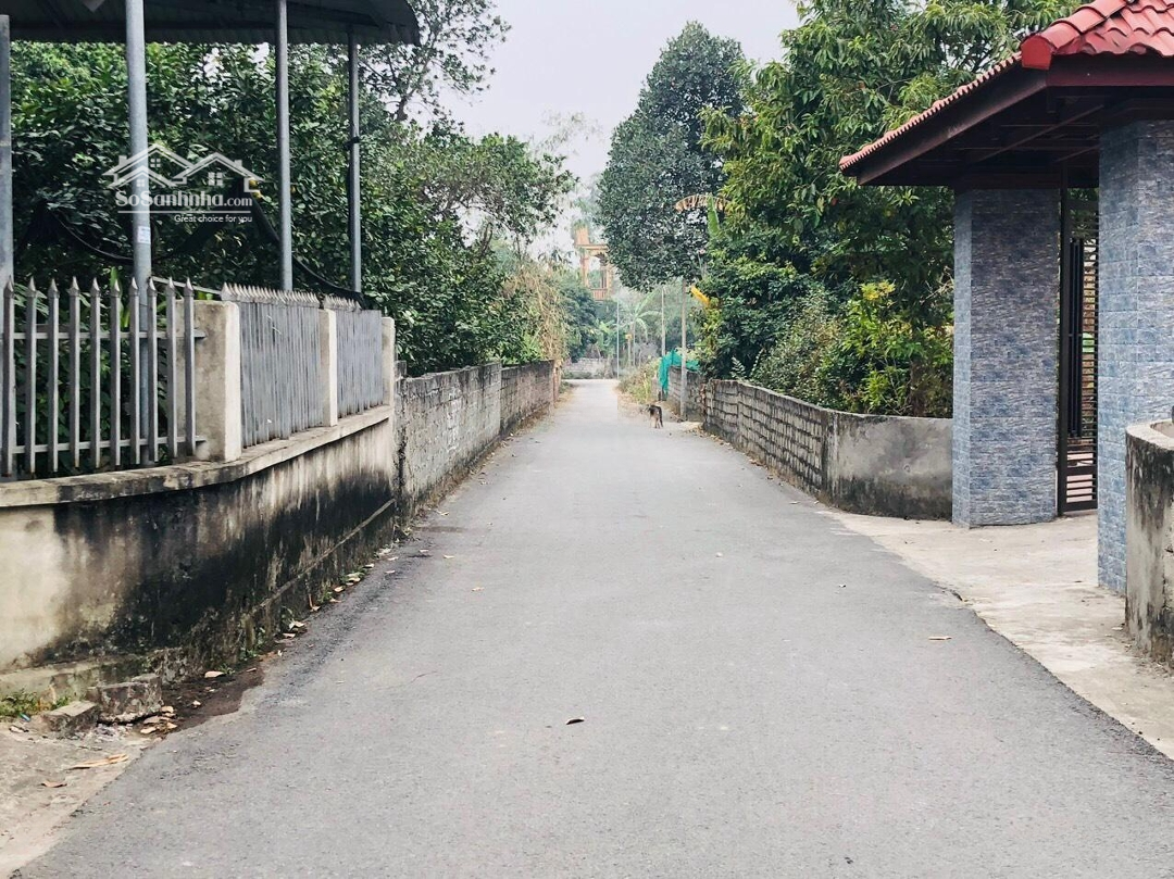Bán Lô Đất Hương Sơn - Bình Xuyên, Vĩnh Phúcdiện Tích; 100M2 , Mặt Tiền 5,24M Đường Ô Tô Đi Thoải Mái