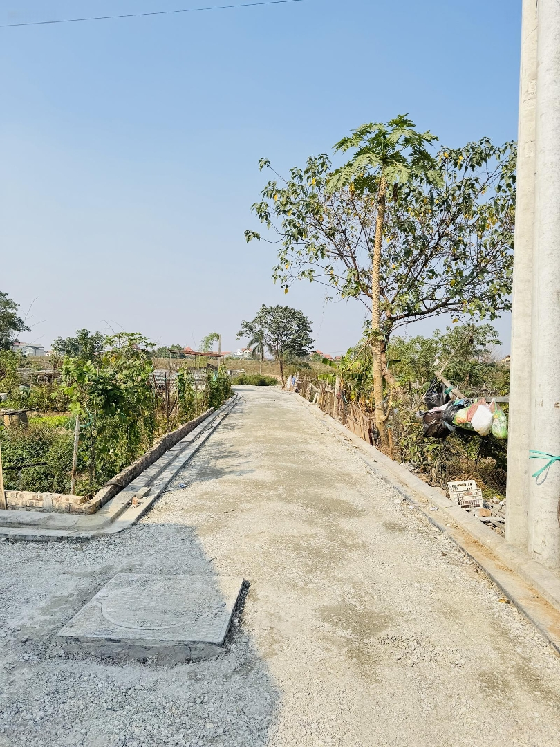 Cần Bán 84M2 Hải Bối Ngõ Thông Ô Tô Sát Dự Án Tp Thông Minh
