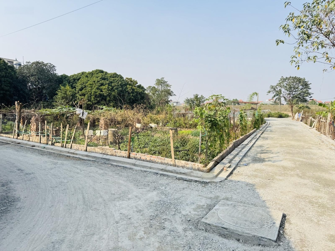 Cần Bán 84M2 Hải Bối Ngõ Thông Ô Tô Sát Dự Án Tp Thông Minh