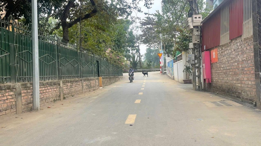 Duy Nhất 1 Lô Góc 71M Đất Giãn Dân Quan Giai Đồng Trúc Cách Đường Đại Lộ Thăng Long Và Dh08 Chỉ 80M