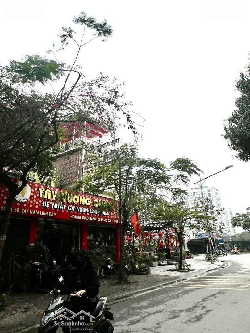 Bán Biệt Thự Linh Đàm- 210M- 11M Mt- Cho Thuê Đều 50 Triệu/Tháng- Vip- Khu Vực Kinh Doanh Đỉnh Cao