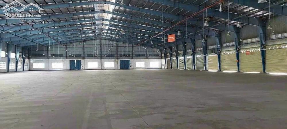 Cho thuê hoặc chuyển nhượng 29.000m2 đất có 10.000m2 kho nhà xưởng khu công nghiệp Chu Lai, Quảng Nam.