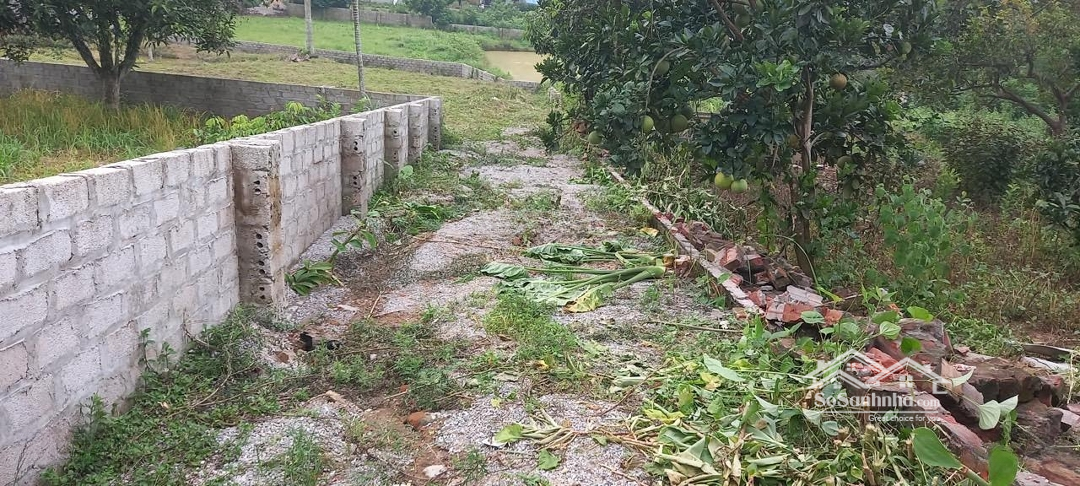 Bán Đất 1800M2 Tại Yên Bài, Ba Vì, Hà Nội, Giá 3. 2 Triệu/M2