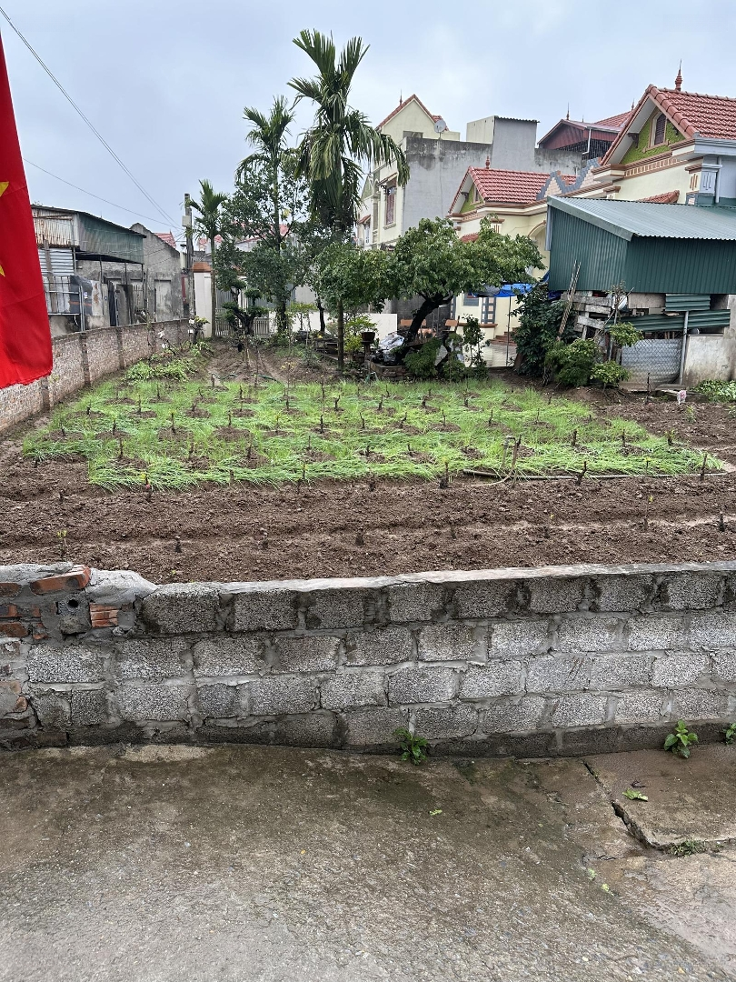 55M2 Lô Góc Chỉ Nhỉnh 1 Tỷ Đất Nội Thôn, Vân Tảo, Thường Tín, Hn Đường Rộng