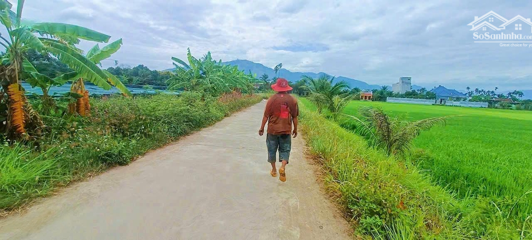 [ Đất Lúa Diên Phú _ Sau Qh Là Đất Ở Và 2 Mặt Đường Ô Tô ]