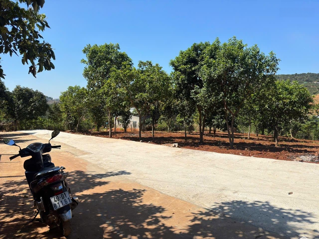 Bán Đất Tại Nam Ban, Lâm Hà, 1,33 Tỷ, 600M2, View Đẹp, Pháp Lý Đầy Đủ