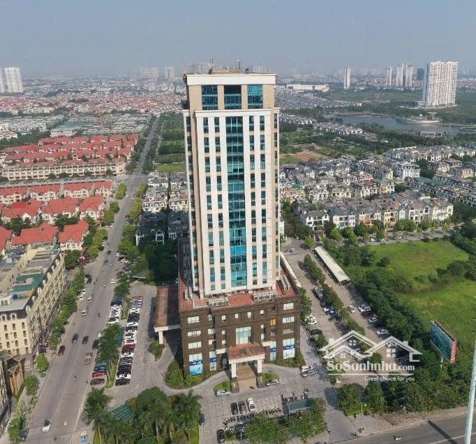 Cđt Cho Thuê Văn Phòng Nam Cường Building, Miễn Phí 1 Tháng Setup