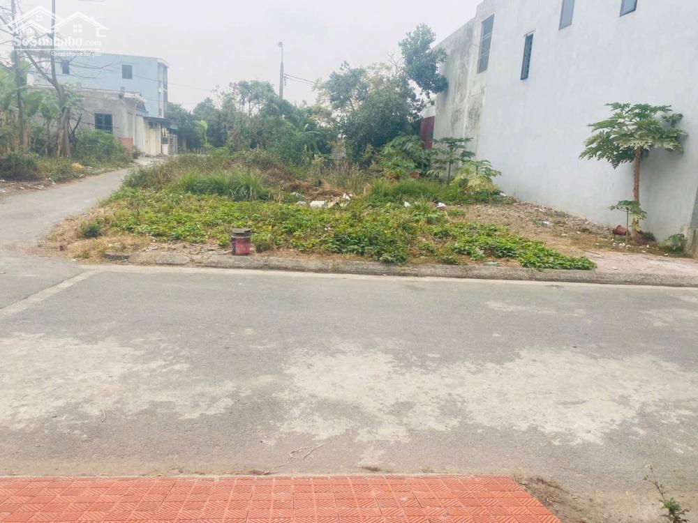 Lô góc biệt thự siêu đẹp khu phân lô tại Dương Quan - Thuỷ Nguyên 148m ngang 12m giá 35tr/m. Lh 0967084289