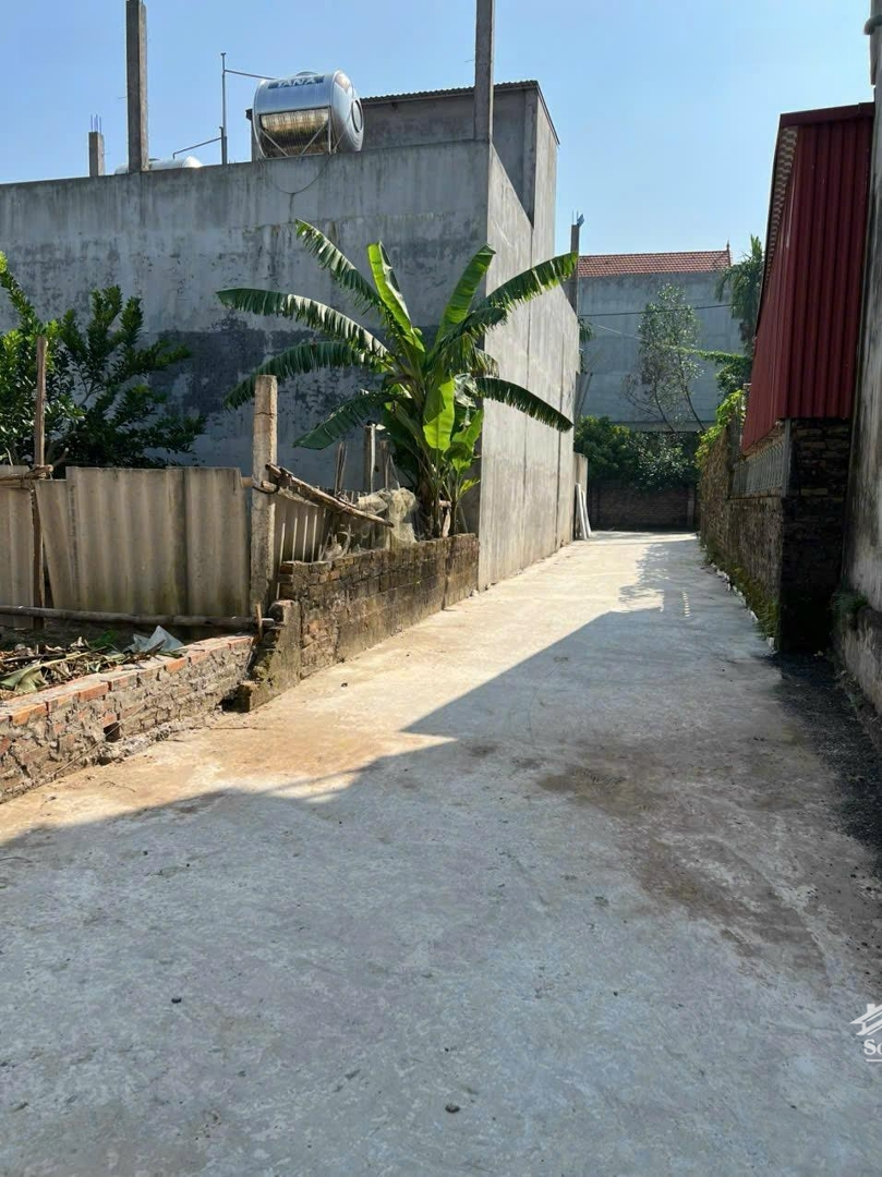 Bán Đất Tại Xã Thọ An, Đan Phượng, Hà Nội, 43 Triệu, 42 M2, Cạnh Tỉnh Lộ 417