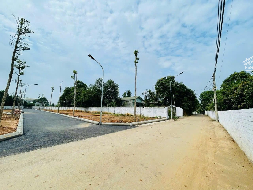 Giá Sốc Chỉ Từ 2 Tỷ Vnd Tại Đường Trục Chính Thiên Mã, Xã Cổ Đông, Sơn Tây, Hà Nội, Diện Tích 60M2