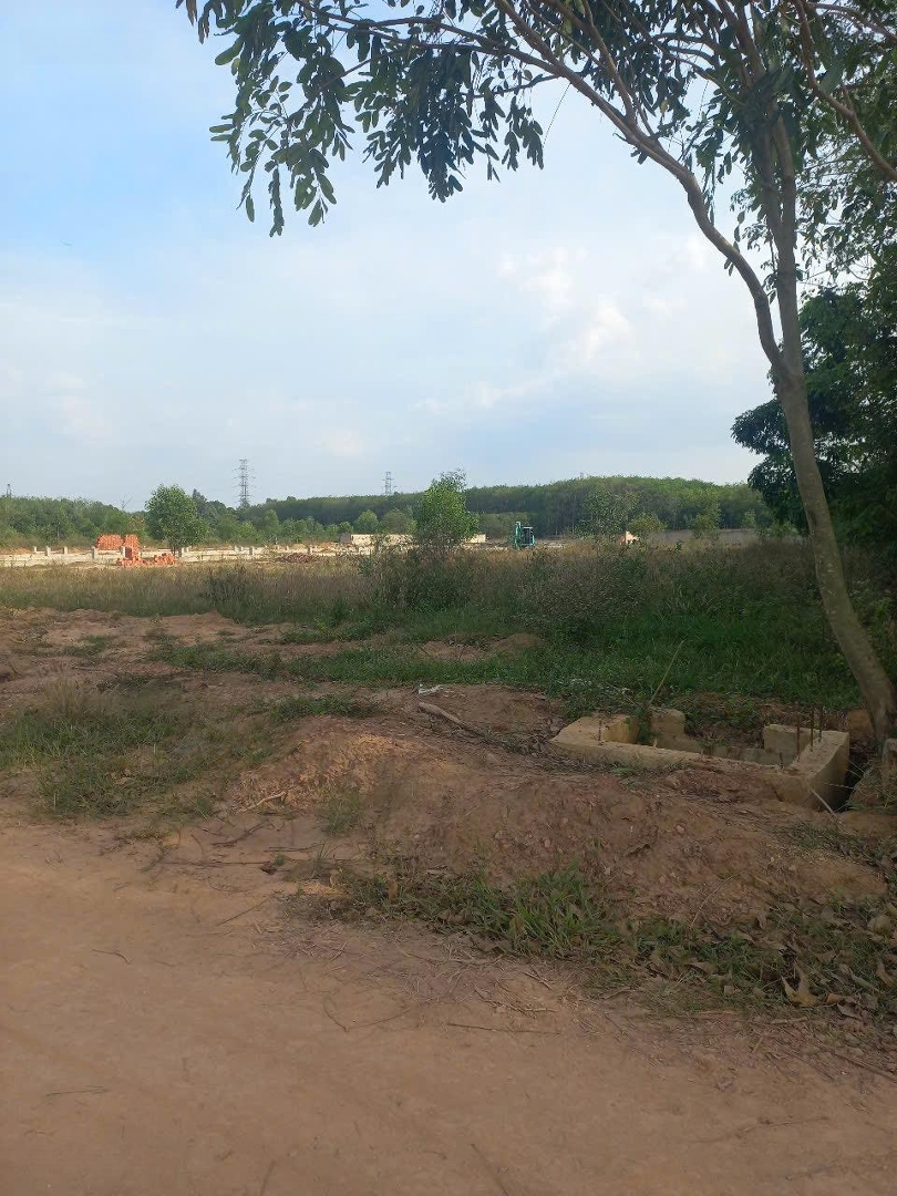 Cho Thuê 7,5 Hecta Quy Hoạch Skc Vị Trí Cụm Công Nghiêp Uyên Hưng