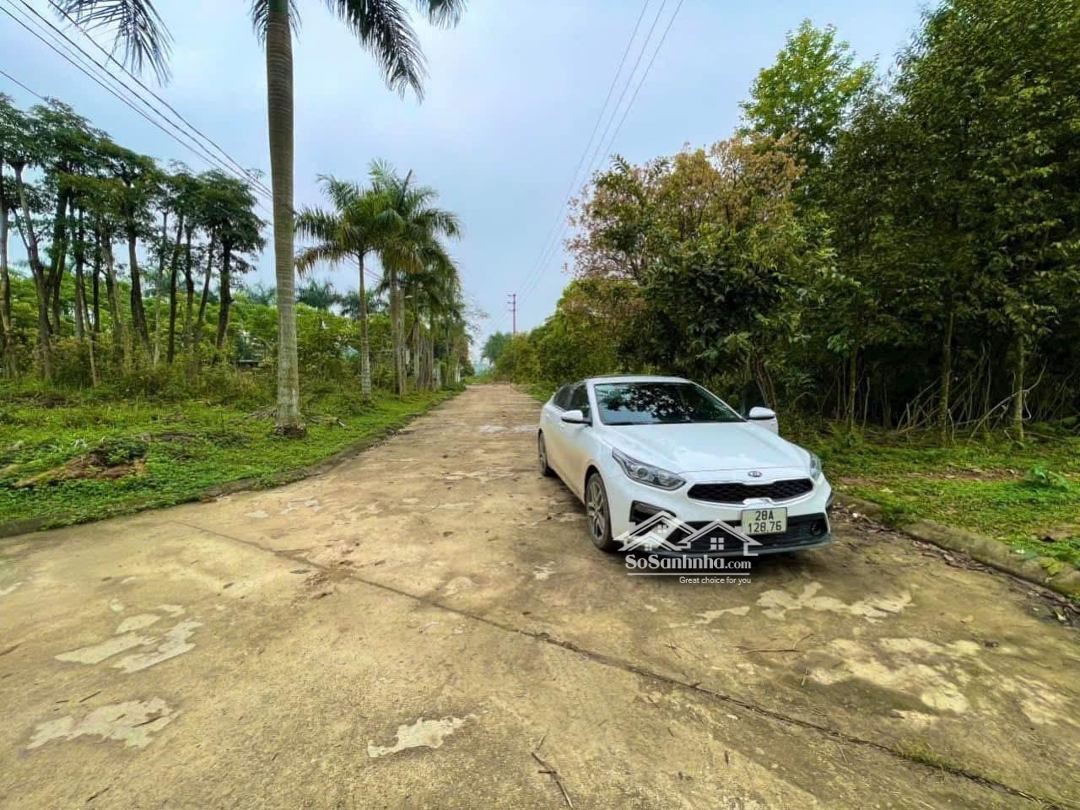 Chủ Cần Bán Gấp 853M2 Có 80M2 Thổ Cư Tại Nhuận Trạch - Lương Sơn - Hoà Bình, Giá Đầu Tư