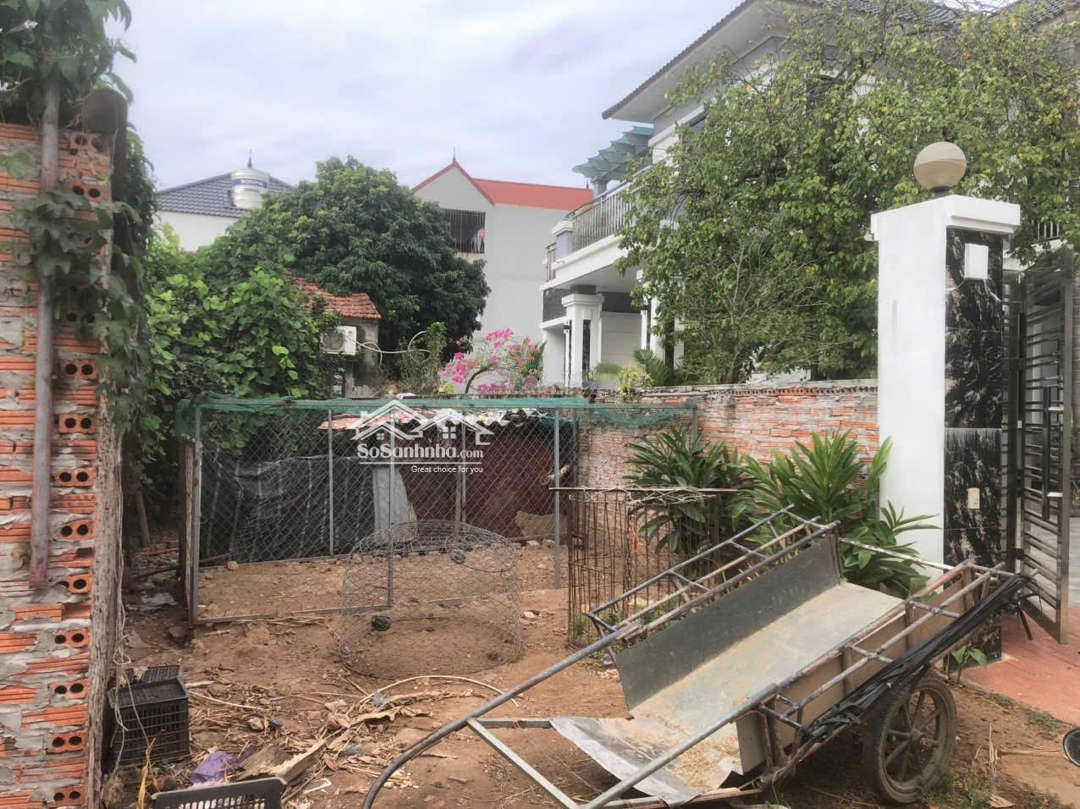 Hàng Hiếm! Đất Tráng Việt Vuông Vắn Mà Giá Chỉ Có 2X