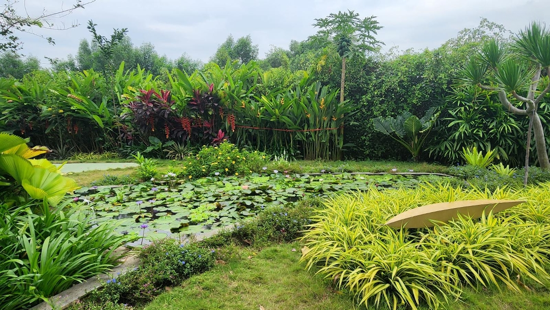 Cần Bán Đất Thổ Cư Mặt Tiền Bưng Ông Thoàn Quận 9 Tphcm Gần Ngã 3 Liên Phường Và Da Park Riverside