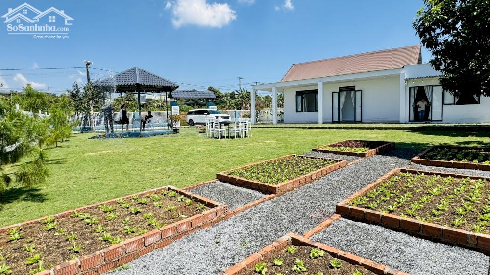 Nhà vườn nghỉ dưỡng đáng mơ ước ở Bảo Lộc, có thể khai thác cho thuê home du lịch