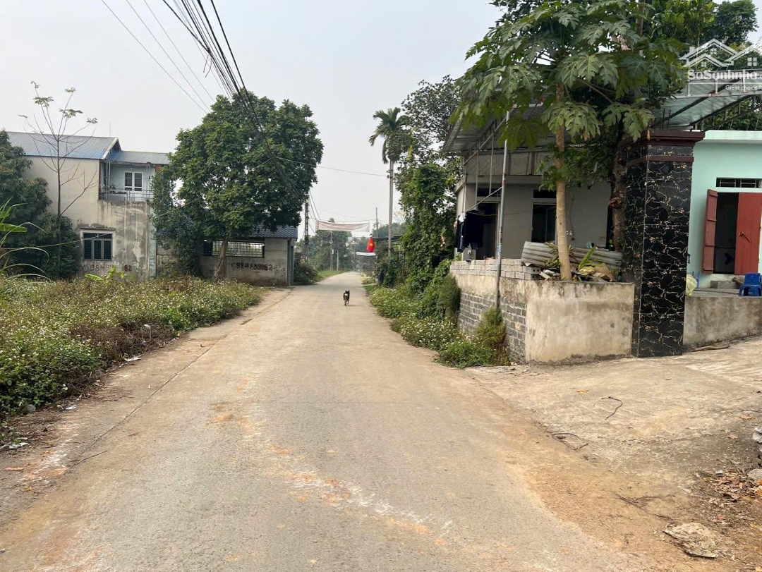 Bán Hoa Hậu 115M2 Full Thổ Cư, Sẵn Sổ Hồng, Nam Phương Tiến, Chương Mỹ, Trục Chính Liên Xã