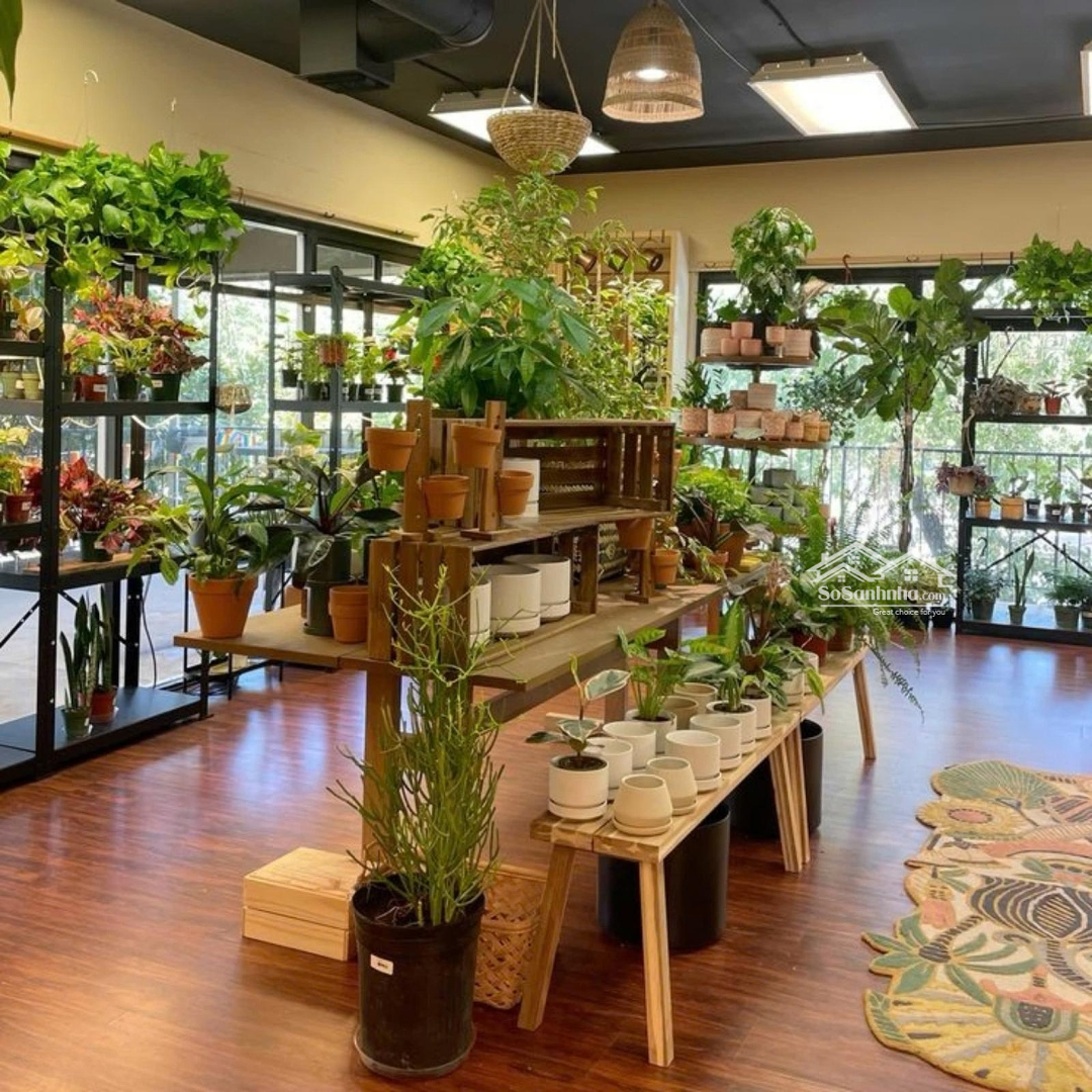 Bán Shophouse Chân Đế Giá Hợp Lí Toà S203