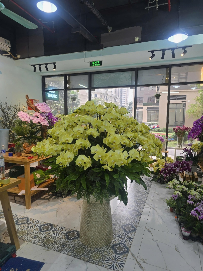 Bán Shophouse Chân Đế Giá Hợp Lí Toà S203