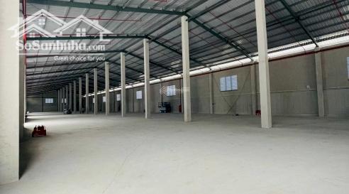 Bán Nhà Xưởng Huyện Châu Thành, Tỉnh Tiền Giang.