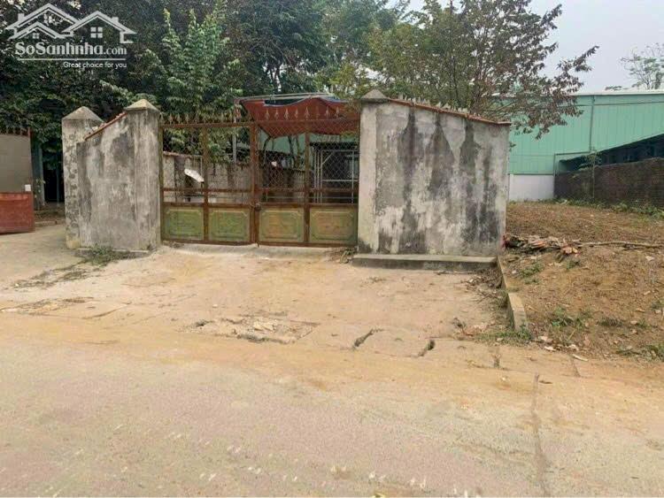 TRỤC CHÍNH LA GIÁN, CỔ ĐÔNG 169M2 FULL ĐẤT Ở