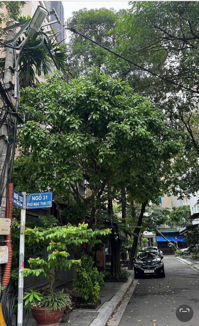 Bán Nhà Riêng Chính Chủ 4 Phòng Ngủ 3 Vệ Sinhtại Mạc Thái Tổ (Thông Trung Kính), 21 Tỷ, 58M2, Cầu Giấy, Hà Nội