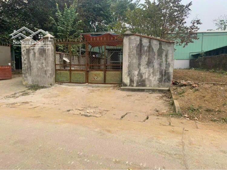 Trục Chính La Gián, Cổ Đông 169M2 Full Đất Ở