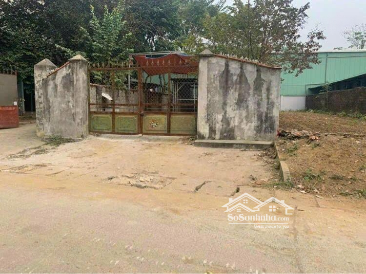 Trục Chính La Gián, Cổ Đông 169M2 Full Đất Ở