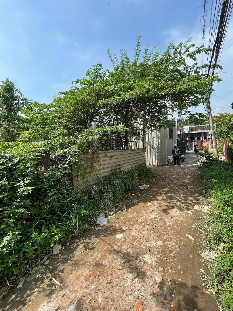 Bán Đất Tại Bình Chiểu, Thủ Đức, Hồ Chí Minh, 8,61 Tỷ, 135M2, 2 Mặt Tiền 33M, Cách Nhựa Hơn 50M
