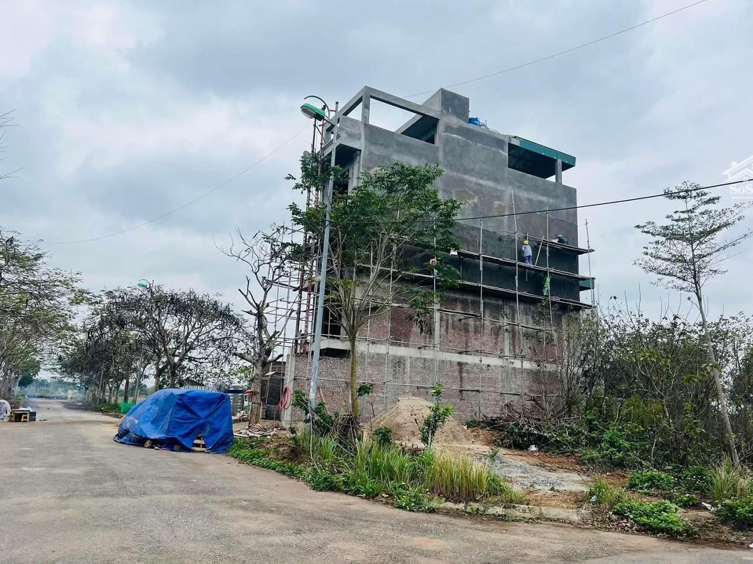 Cần Chuyển Nhượng Liền Kề Dự Án Cienco Mê Linh Diện Tích 100M2.