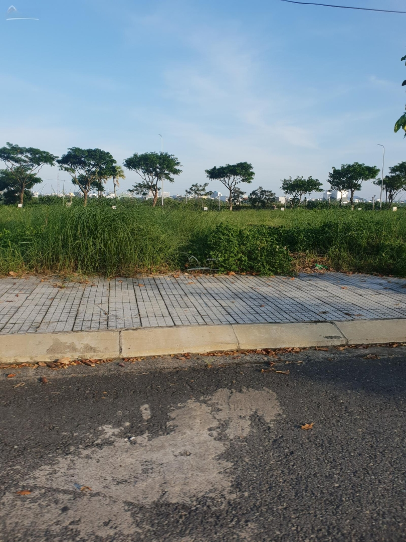 5 Lô 535M2 Mặt Tiền Đường Hoàng Sa, Sơn Trà, Đà Nẵng, Sổ Đỏ Đầy Đủ. Liên Hệ: 0935433711