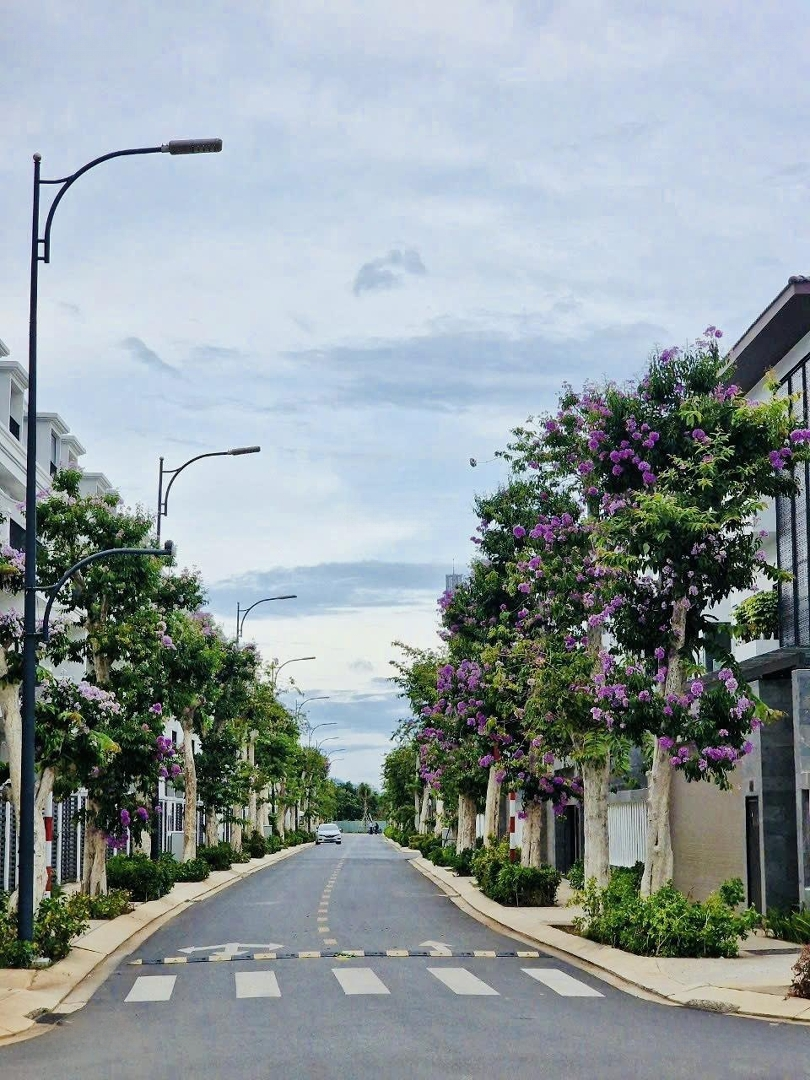 Lavida Residences- Cần Bán Nhà Phố Ngang 6M. Giá Hợp Đồng Bao Thuế Phí. Liên Hệ: 0969903522