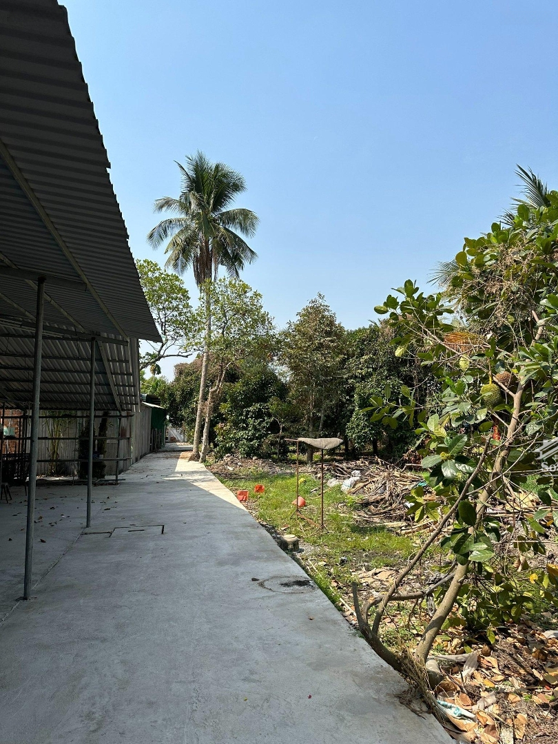 Chính Chủ Bán Gấp Lô Đất 1000M2 An Sơn 20, Thổ Cư 100M Giá Chỉ 6 Tr/M2
