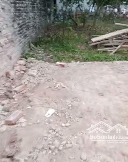 Chính Chủ Bán Lô Full Thổ Cư Vuông Vắn Tại Thọ Xuân-Đan Phượng, Giá Chỉ 41 Triệu/1M2