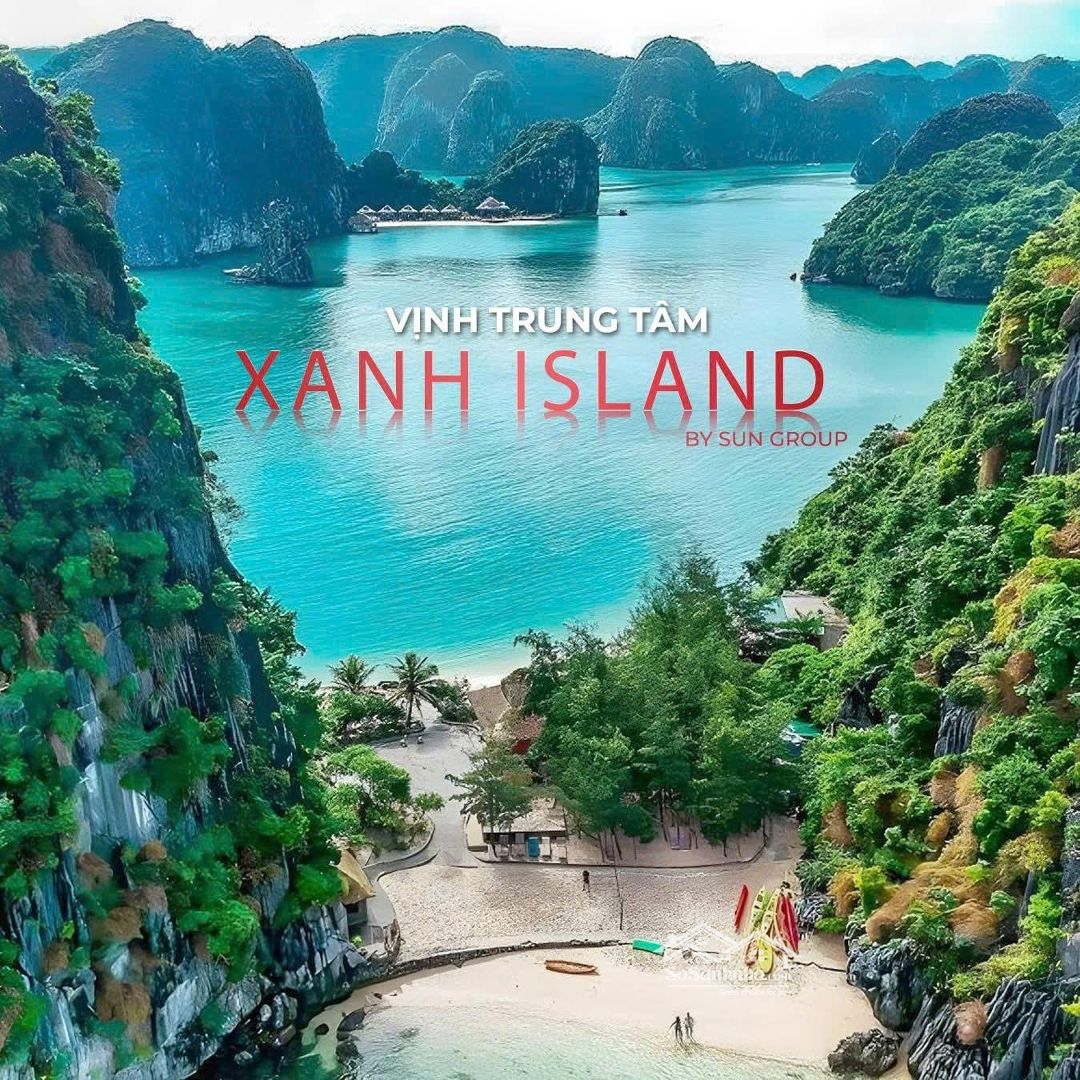 Mở Bán Đợt 1 - Xanh Island Cát Bà Từ 1.9 Tỷ/Căn Stu Đầy Đủ Đồ. Nhận Đặt Chỗ Vị Trí Đẹp 30 Triệu/Booking