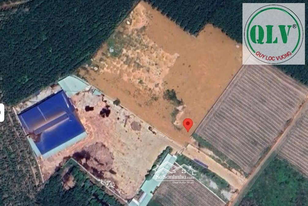 Cho Thuê Nhà Xưởng Gần 10.000M2 Tại Phú Giáo, Bình Dương