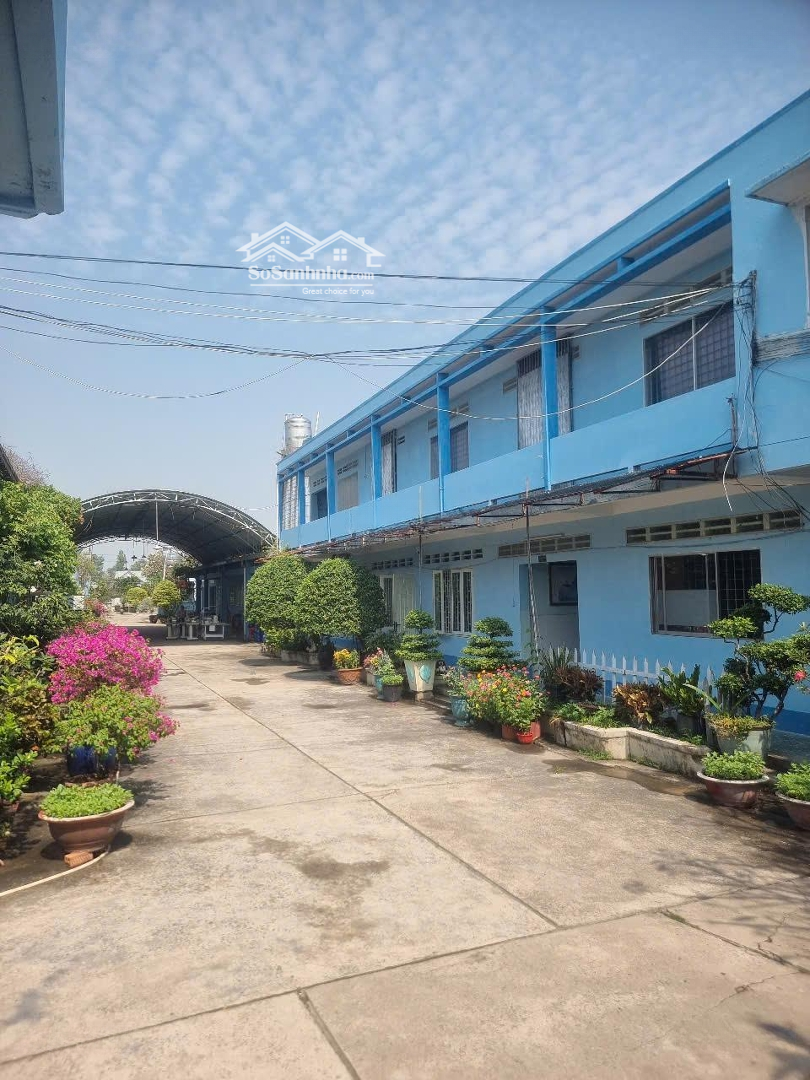 Cho Thuê Kho, Xưởng Tại Tân An Hội. Khuôn Viên Thoáng Mát, Pccc Vách Tường, Trạm Điện 250Kva