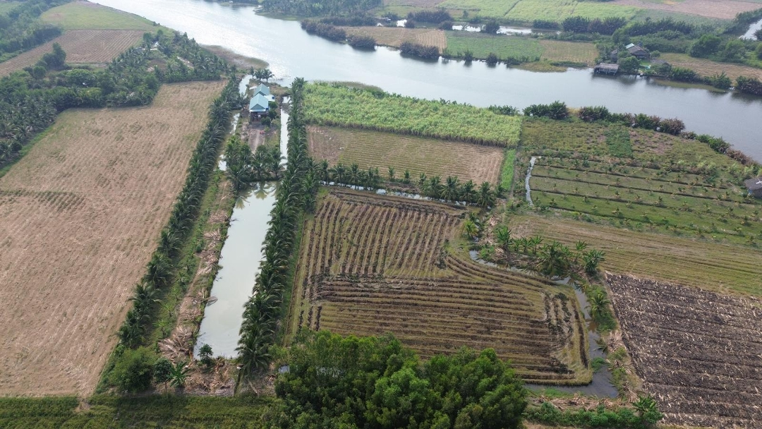 Bán Đất Tại Phú Đông, Nhơn Trạch, Đồng Nai, 1,5 Triệu / M2/ 8484 M2 Chỉ Với Cơ Hội Đầu Tư Tuyệt Vời