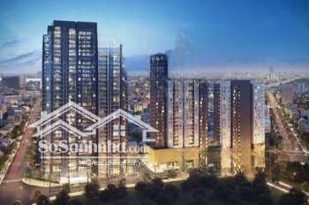 Cho Thuê Căn Hộ 2 Phòng Ngủchung Cư Safira Khang Điền - Phú Hữu - Thủ Đức