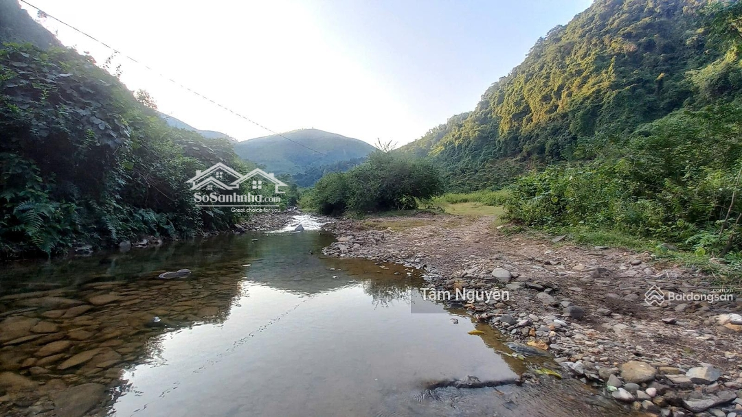 19.000 M2 Rừng Sản Xuất Bám Suối Trong Vắt, Phẳng Như Sân Bóng Cách Tt Hà Nội 50 Km Giá Chỉ 1,X Tỷ