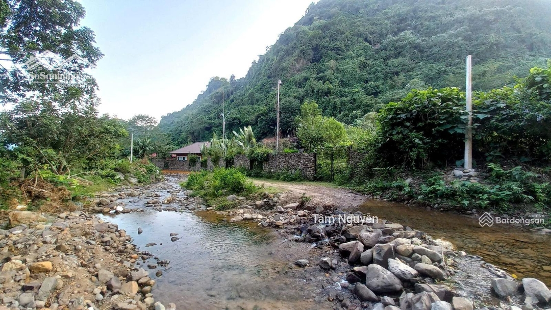 19.000 M2 Rừng Sản Xuất Bám Suối Trong Vắt, Phẳng Như Sân Bóng Cách Tt Hà Nội 50 Km Giá Chỉ 1,X Tỷ