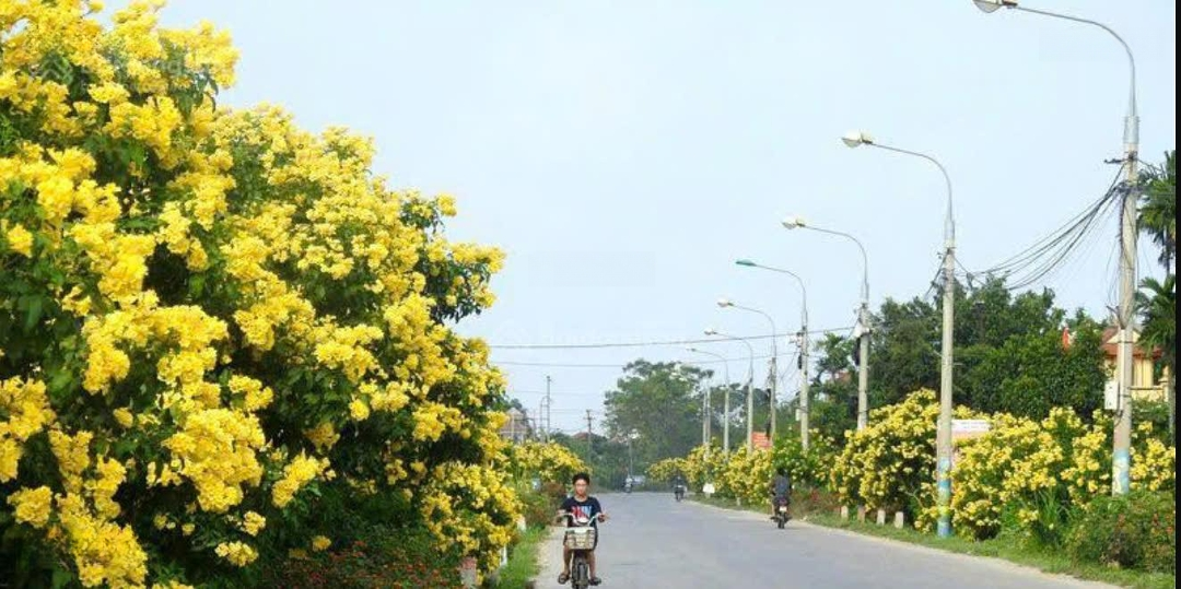 Bán Đất Tại Xuân Lộc, 1,37 Tỷ, 137M2, Giá Ưu Đãi Hàng Hiếm Tại Thanh Thủy, Phú Thọ
