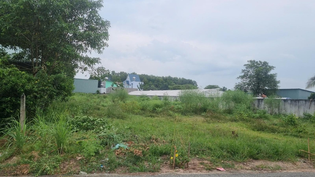 Ngân Hàng Thanh Lý 881M2 (Ngang 10M) Đường Nhựa Tại Phú An, Bến Cát, Bình Dương, 2,431 Tỷ