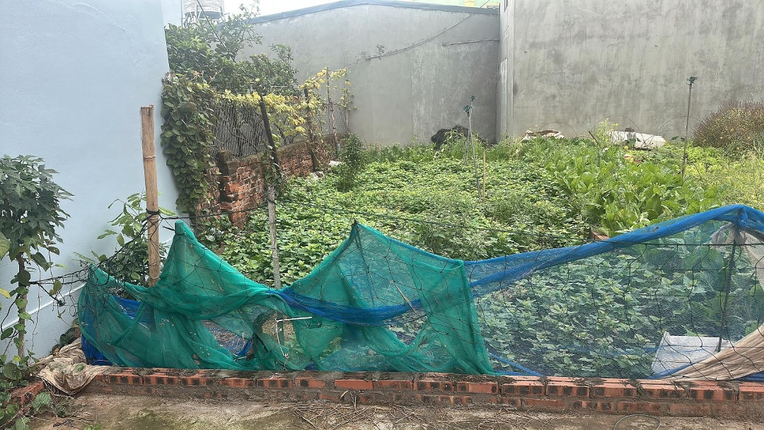 Tiền Phong - Mê Linh 47M2 Full Thổ Cư 4Mmặt Tiềnô Tô 7 Chỗ Vào Đất, Vài Bước Chân Ra Ô Tô Tránh Cạnh