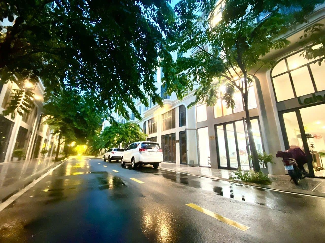 Phố Thương Mại Sen Vàng Sen Vàng Town Là Địa Điểm Đầu Tiên Trong Khu Vực Phát Triển Mô Hình