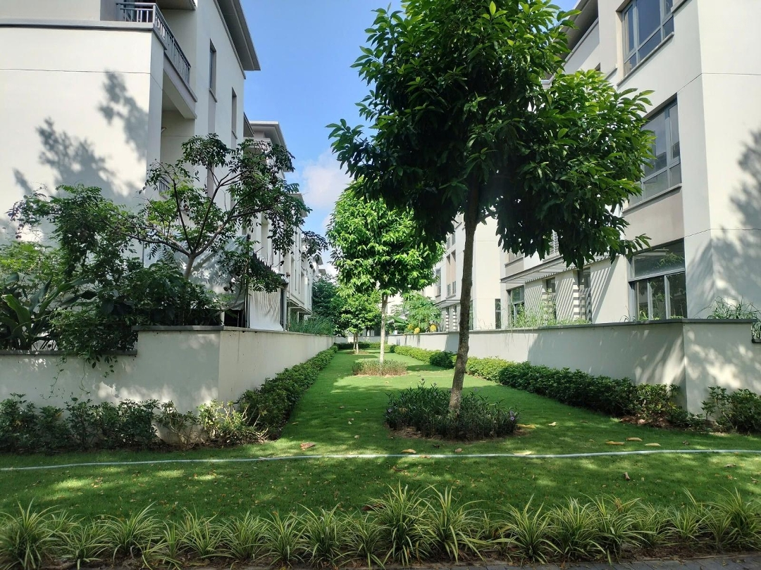 Bán Căn Góc Big Townhouse 144,5M2 Vị Trí 3 Mặt Thoáng