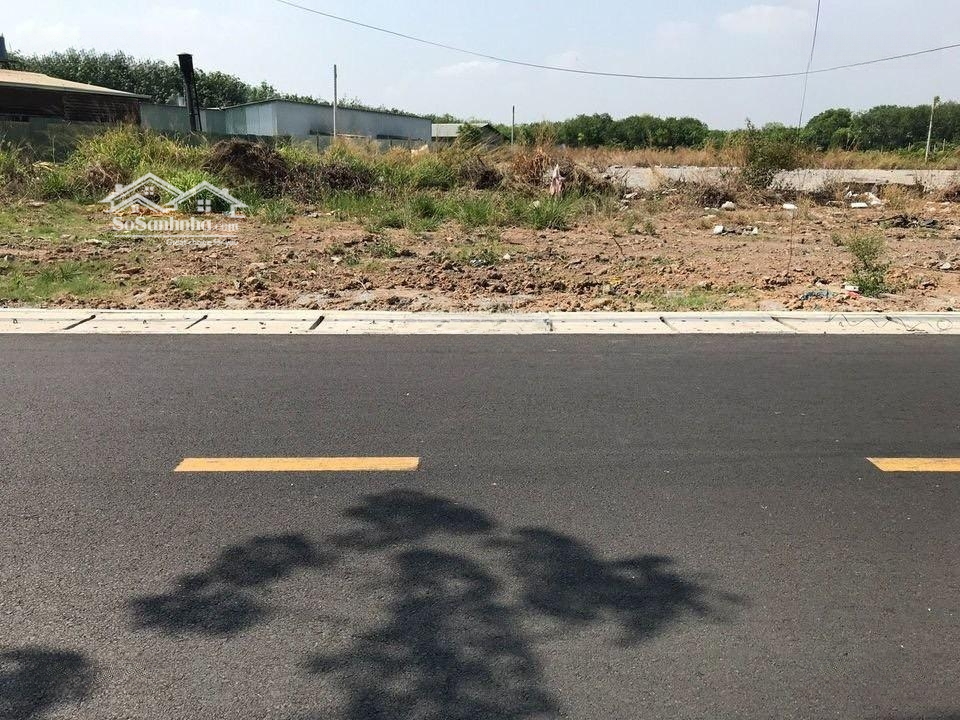 Bán Gấp 279M2 Có 100M2 (Shr)Ở Đường Dh 507 Phú Giáo - Bình Dương Giá 650 Triệu