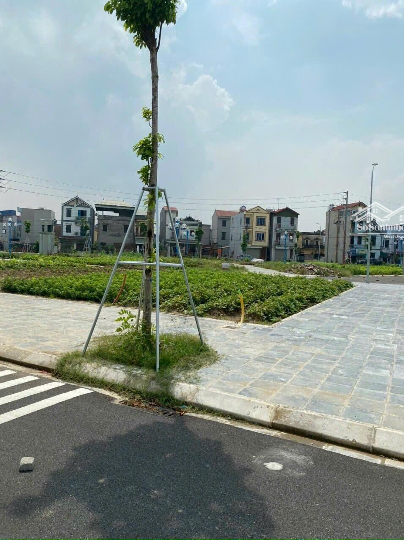 Cần Bán 56M2(3,5X16) Đất Tái Định Cư Mai Hiên, Mai Lâm, Đông Anh. Liên Hệ: 036.735.0556
